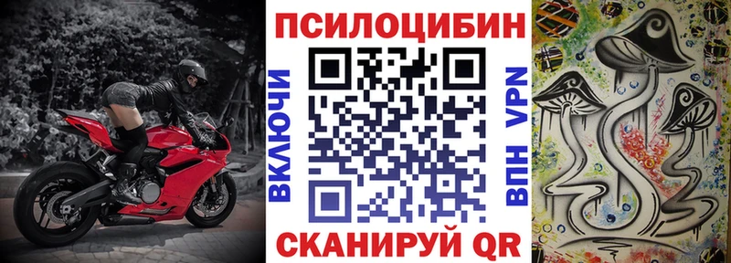 Купить  Демидов  Галлюциногенные грибы прущие грибы 